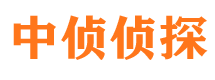 稻城市场调查